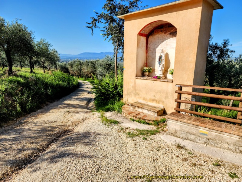Way of St. Francis: Day Twelve, Spello to Trevi - Right Turn at the Shrine