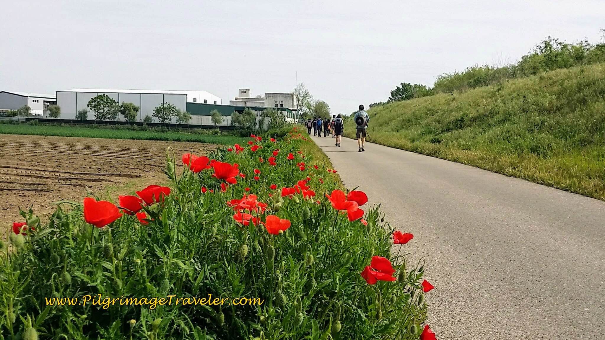 Rua Profa Julia Albine Gomes Pimenta Towards Porto Muge