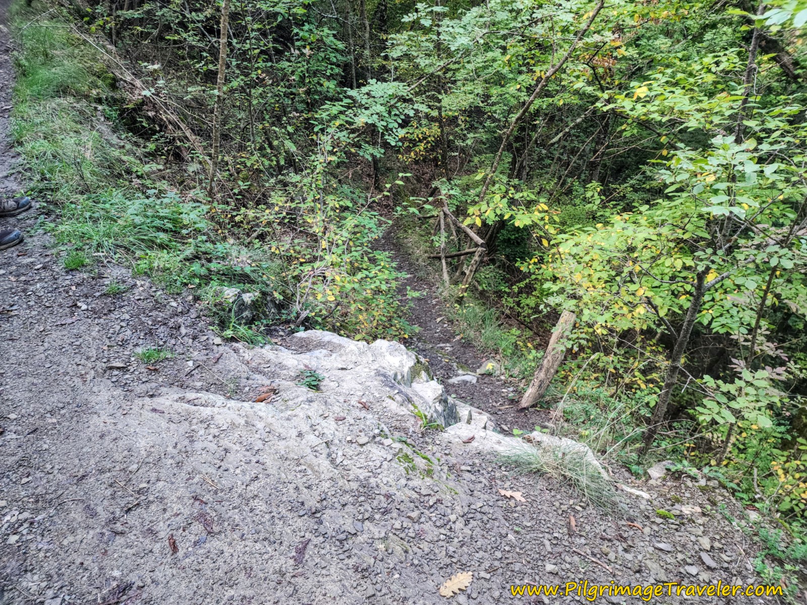 Steep Steps Along Fence Line