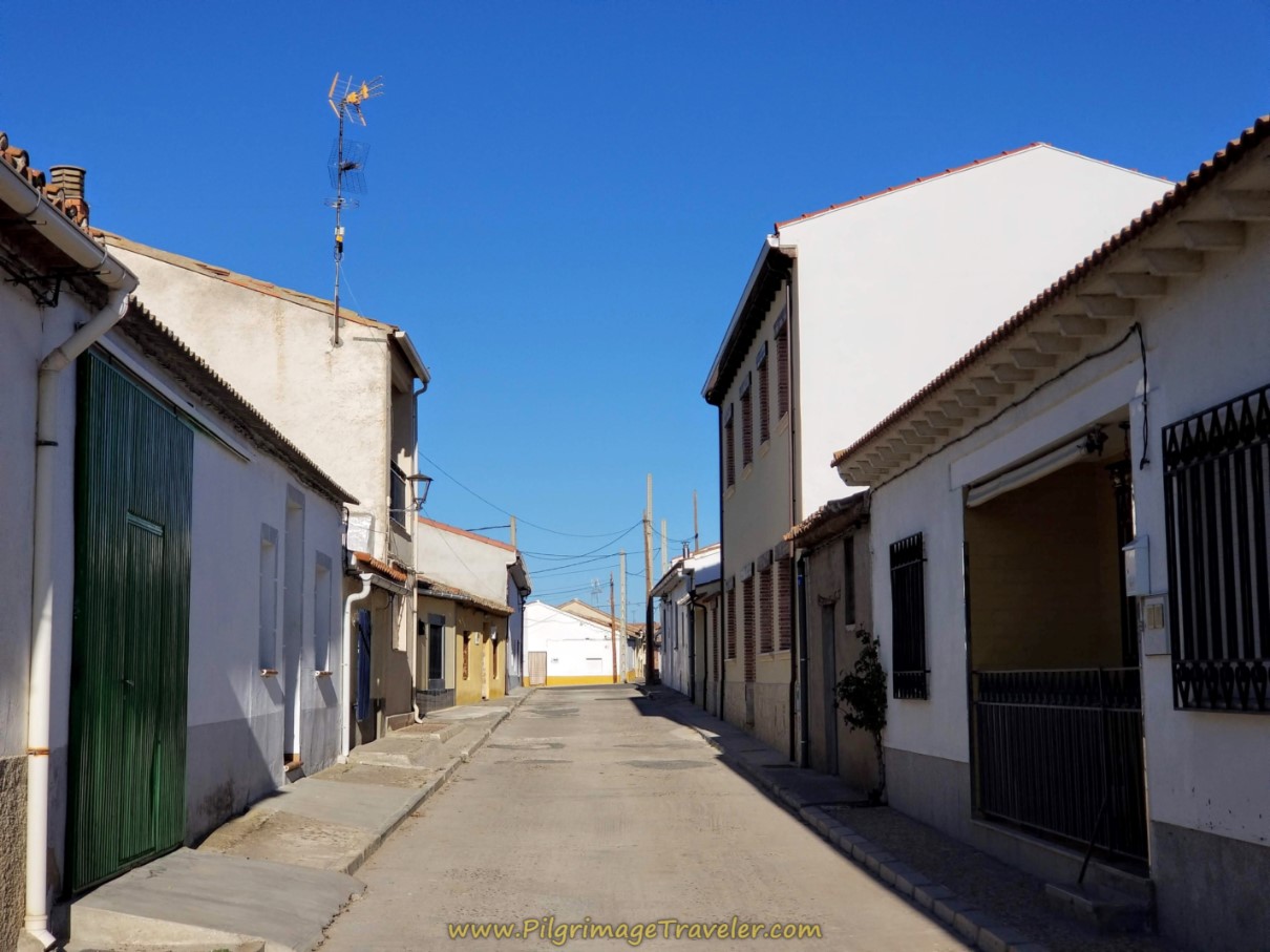 Walking Through Papatrigo