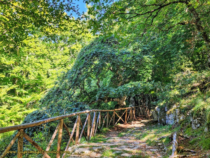 Way of St. Francis: Day Seventeen, Piediluco to Poggio Bustone - Trail to the Faggio di San Francesco