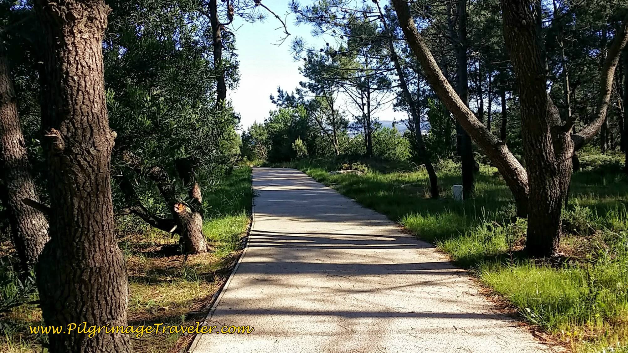 Concrete Path Leaving Montedor on day eighteen of the Portuguese Way on the Senda Litoral