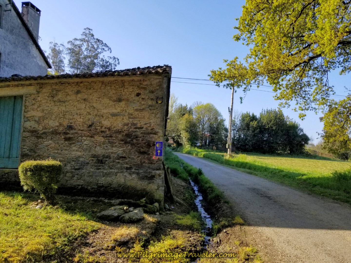Walking on Lane Towards O Outeiro on day seven of the Camino Inglés