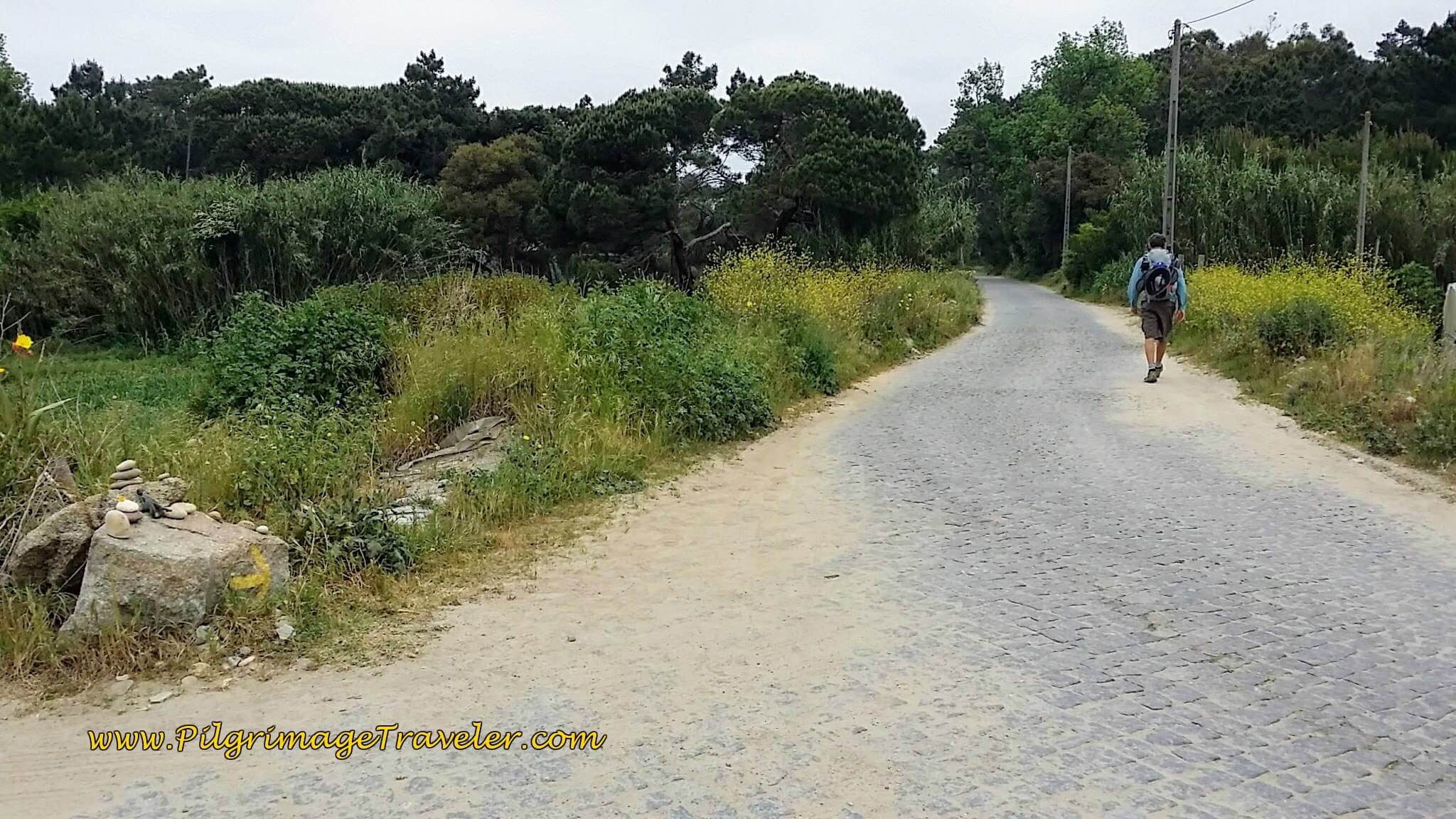Yellow Arrow on Rock and the Side Road on day sixteen of the Portuguese Way on the Coastal Route