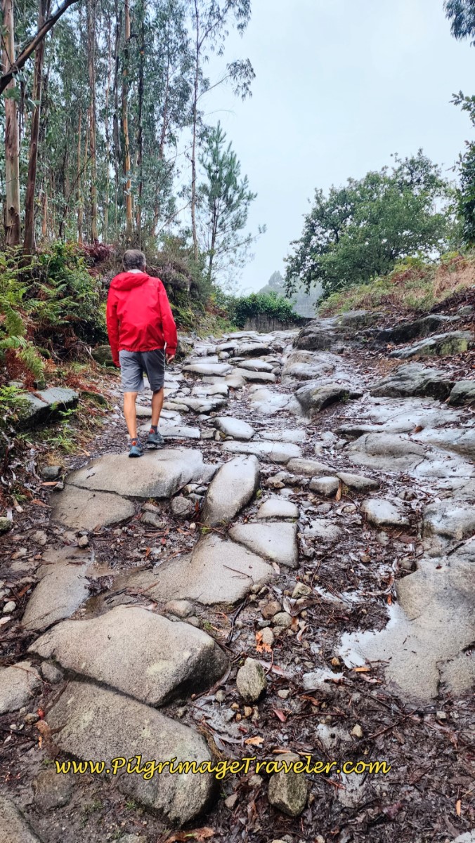 Rich on the Ancient Road