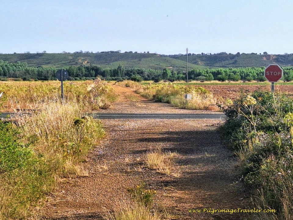 Cross the Paved ZA-P-1509