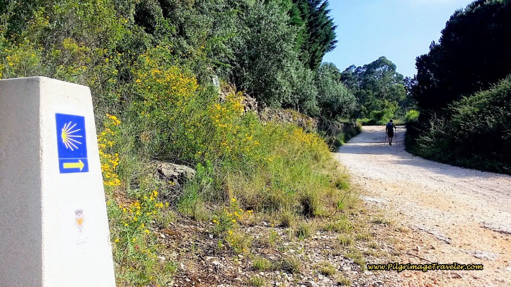Right Turn onto the Rua Progresso
