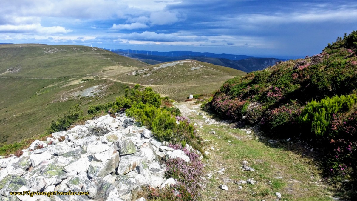 The Descent Towards the Hospital Valparaiso