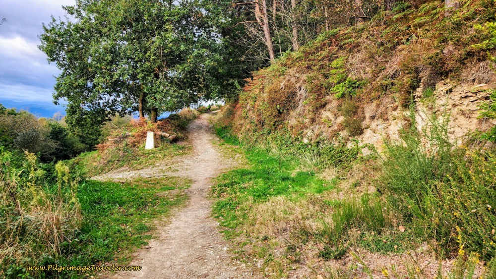 Stay Straight and Upward at Intersection