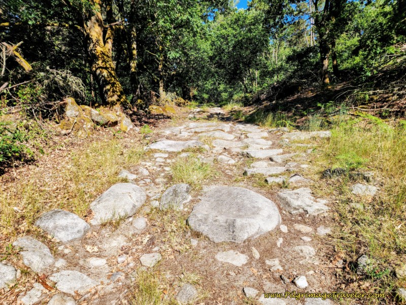 Ancient Paved Road