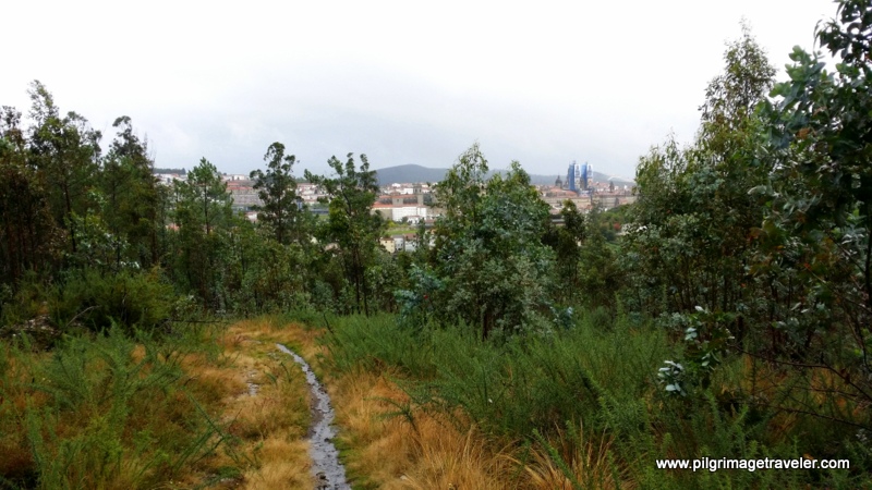 Final Glimpse of the Cathedral Above Treetops on Monte Pedroso