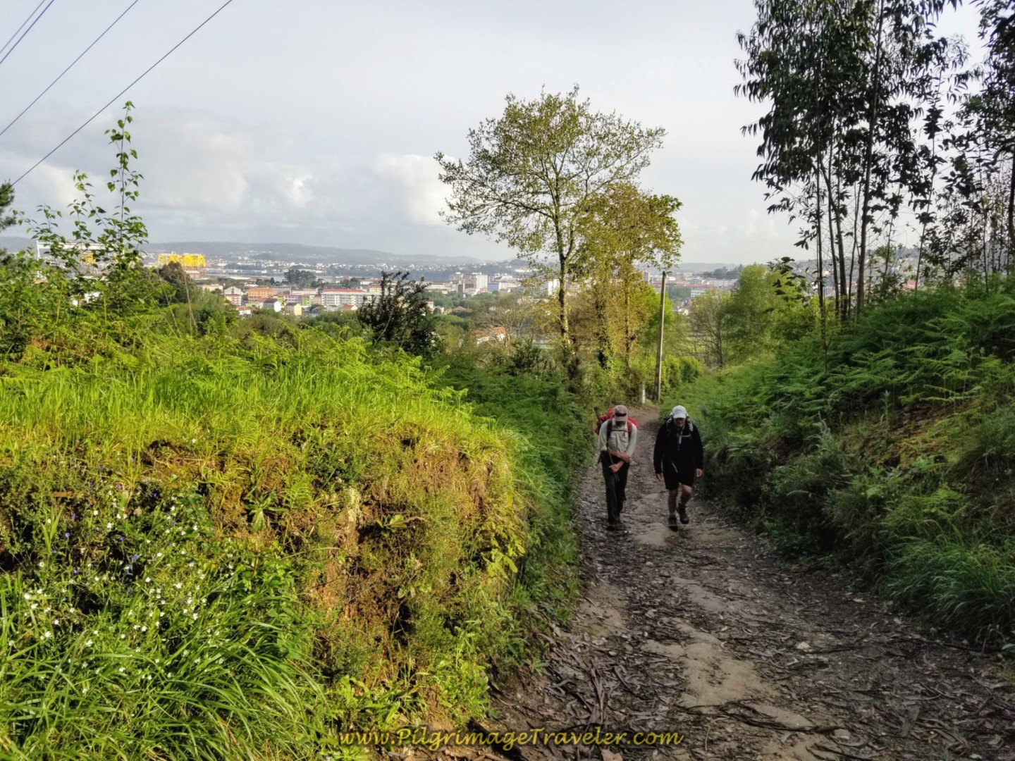 Climbing More Steeply on the Path on day two of the Camino Inglés Climbing More Steeply on the Path on day two of the Camino Inglés
