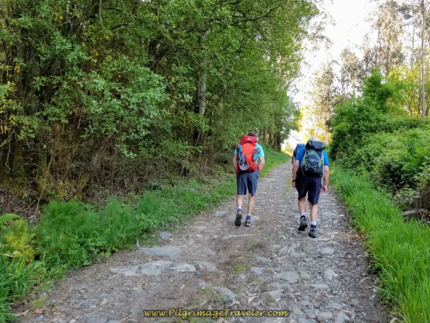 Rich and Rob Continue Climbing on Cobblestone Lane on day eight of the Camino Inglés Rich and Rob Continue Climbing on Cobblestone Lane on day eight of the Camino Inglés