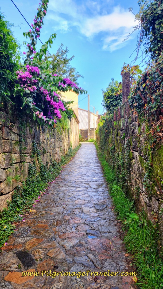 The Very Narrow Aldea Cambelas