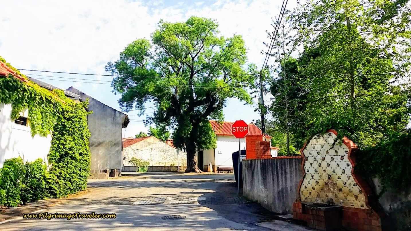 Fonte de São João on Day Eleven, Camino Portugués