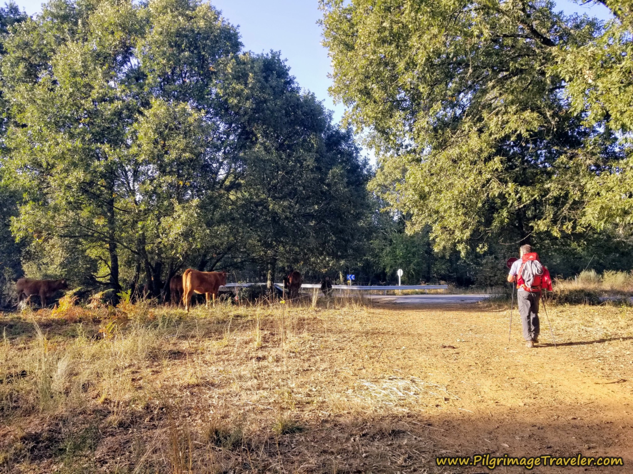 Intersection with Paved Road
