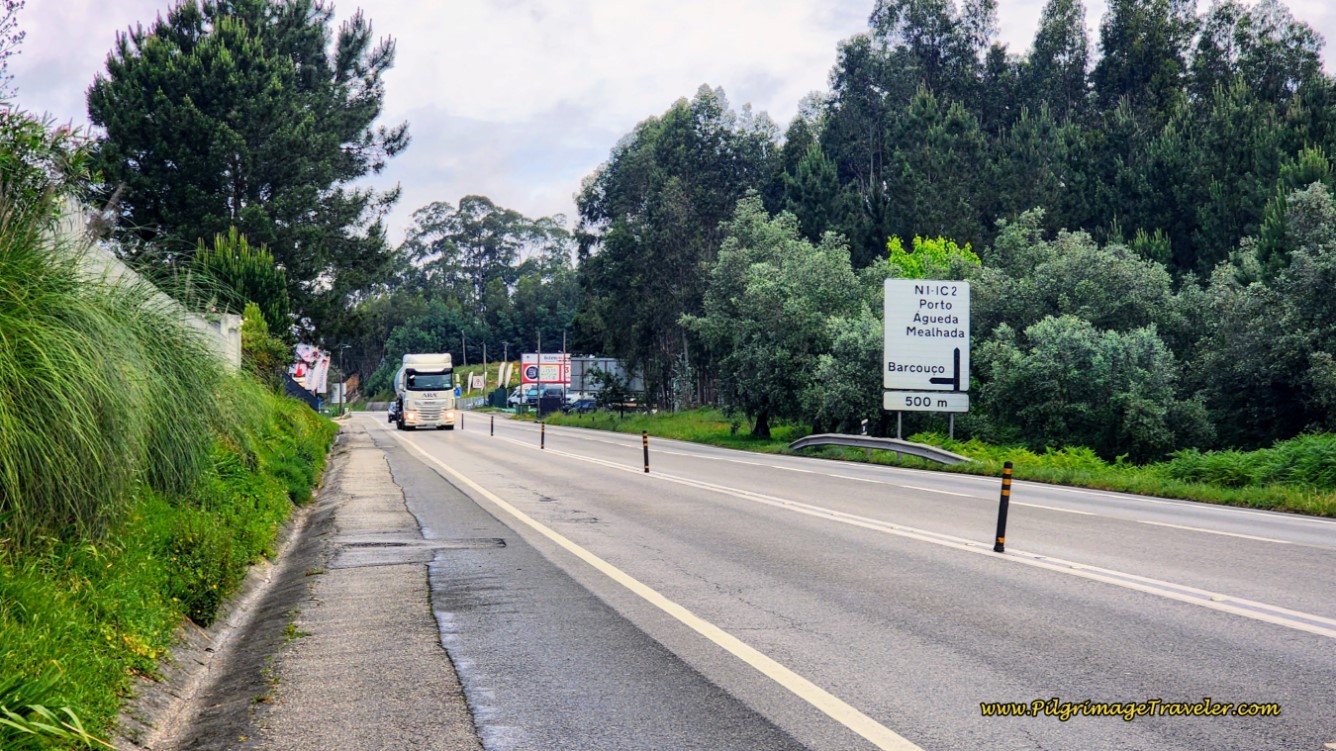 Joining the Busy IC2 on day ten of the Portuguese Camino.