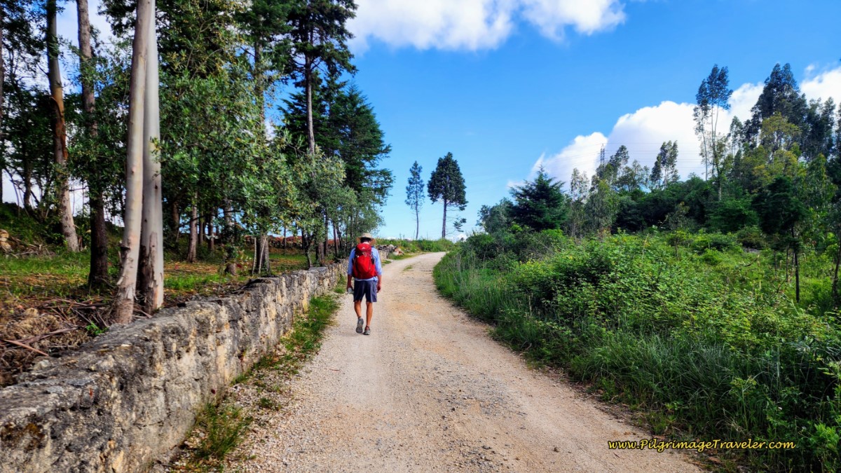 Along the Rua Progresso