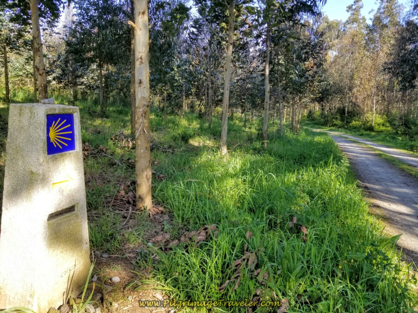 Turn Right at 45.8 Kilometer Marker on Day Six of the Camino Inglés