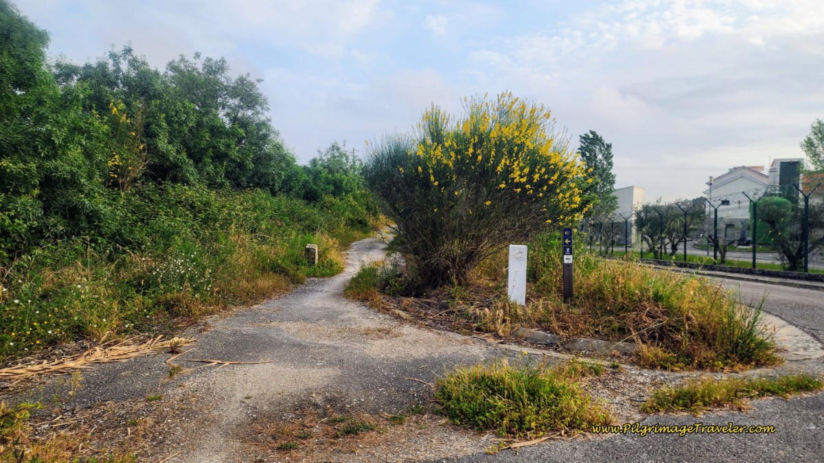 Rua Profa Julia Albine Gomes Pimenta Turns to a Gravel Lane towards Porto Muge