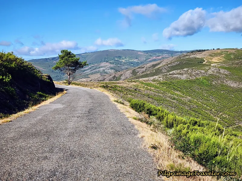 Small Climb Ahead?