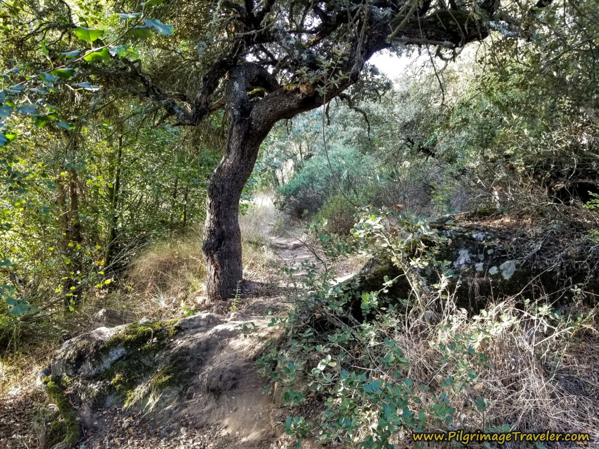 Steep and Slippery When Wet