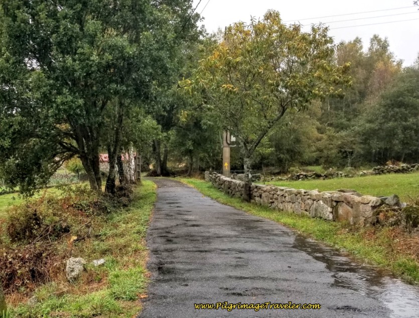 Straight Onward Towards Center of Padroso