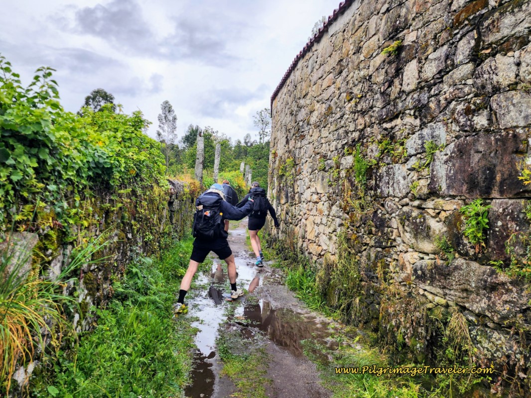 Puddle Jumping PIlgrims on the Medieval Road Puddle Jumping PIlgrims on the Medieval Road