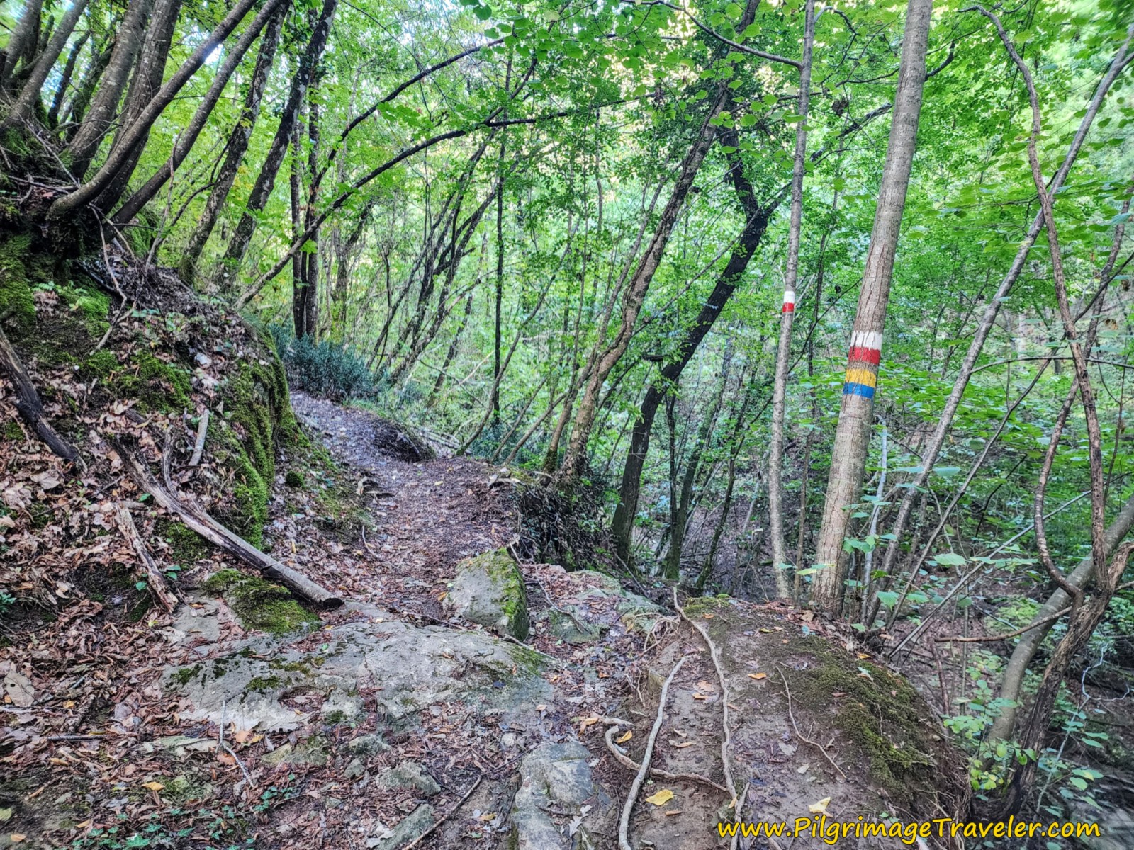 Rough Trail Follows the River