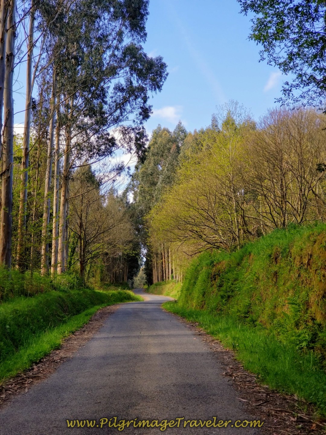 The Steep Climb Still Ahead on day four of the English Way