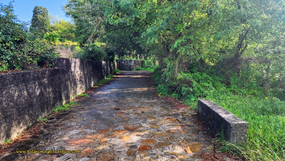 Along the Aldea Cambelas