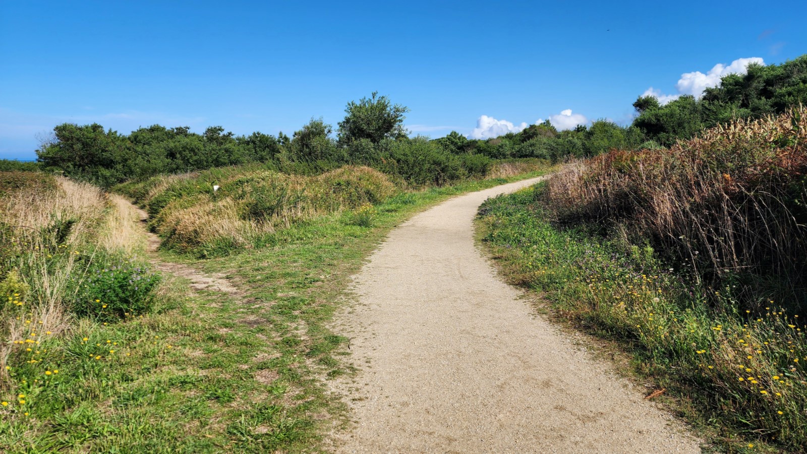 Path to the Arda Beach at Y-Intersection