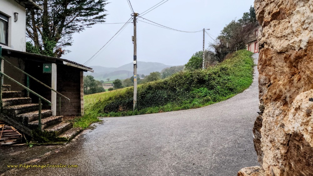 Turn Left at Bus Stop Shelter