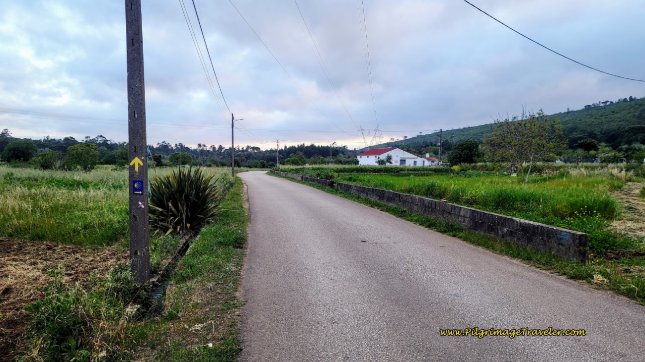 Follow the Rua Pregeira