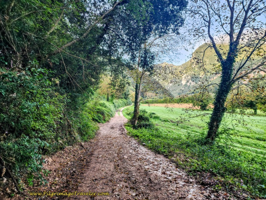 Way of St. Francis: Day Sixteen, Macenano to Piediluco - Gravel Lane Through the Valley Towards Ferentillo
