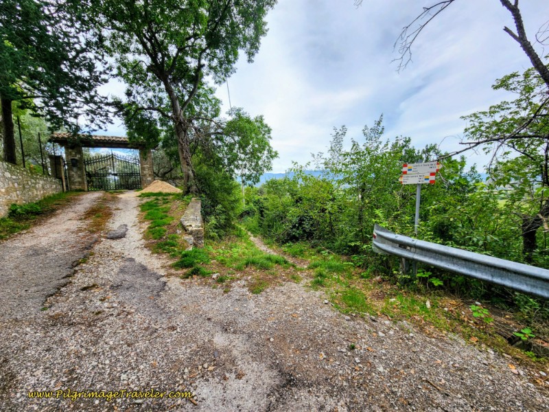 Way of St. Francis: Day Fourteen, Poreta to Spoleto - Leave the Lane for this Path Ahead, near Poreta, Italy
