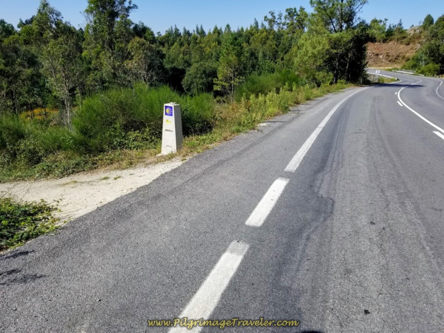 Left Turn Off the DP-3404