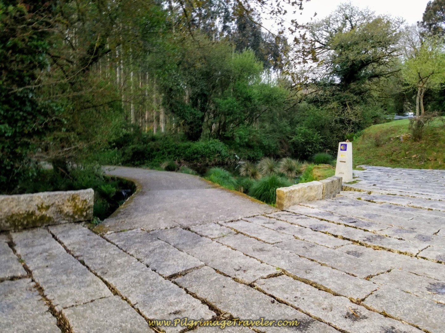 Left Turn Onto Path in Olveiroa
