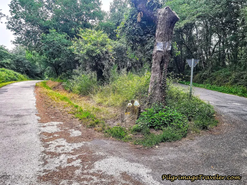 Left Turn Toward Bóveda