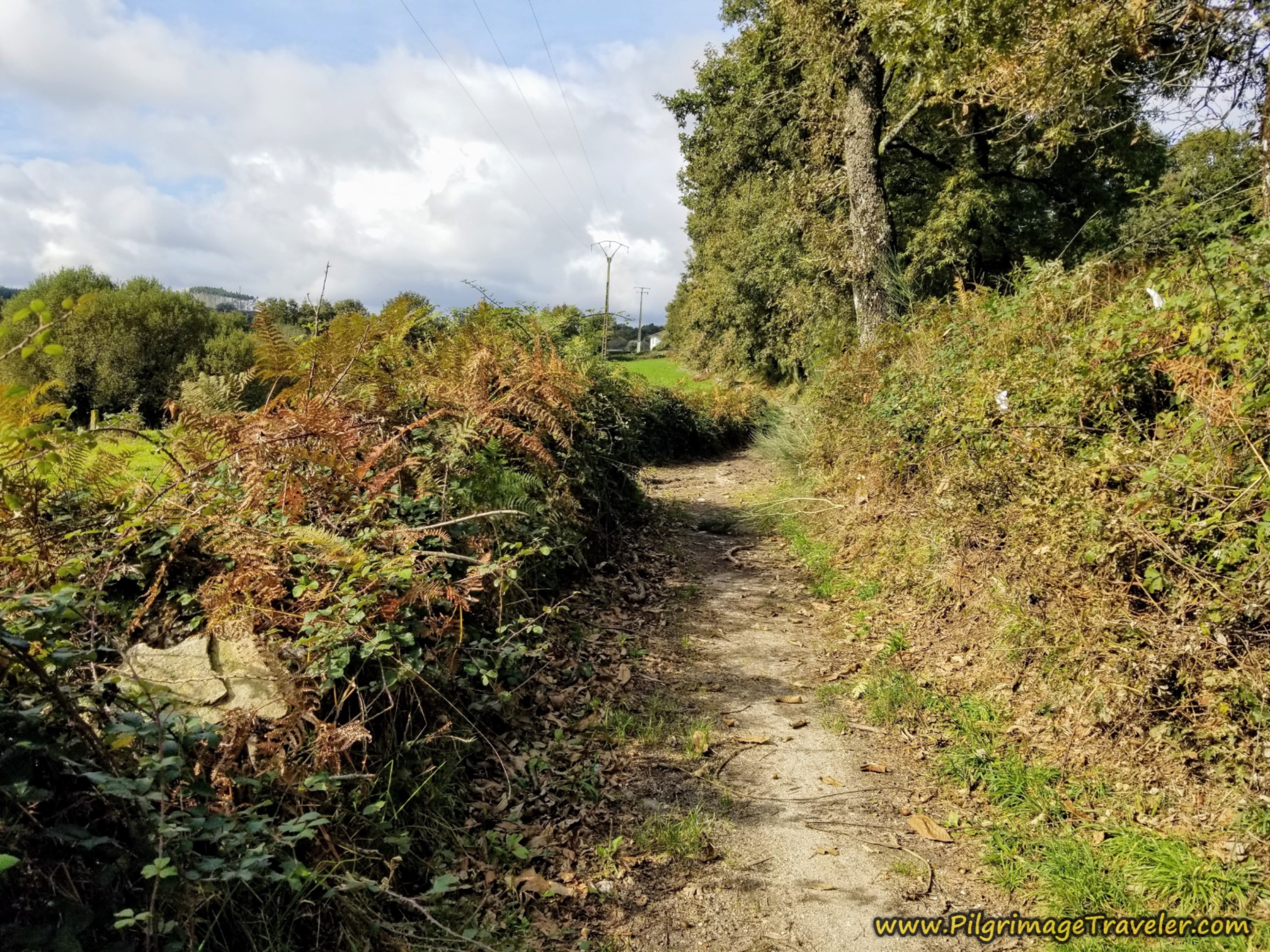 Path Towards Bidueiros
