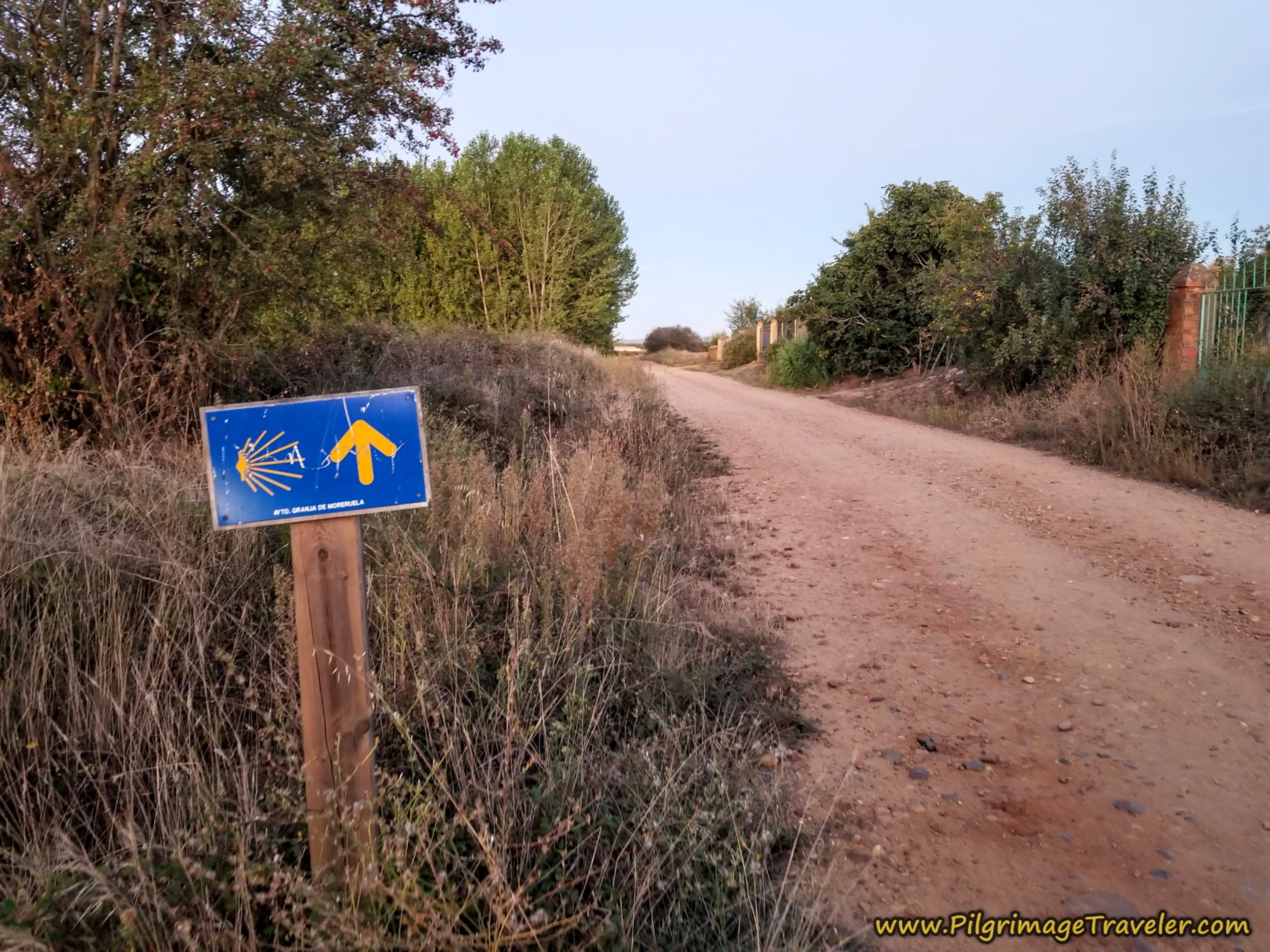 Road Ahead on the Camino Sanabrés from Granja de Moreruela to Tábara