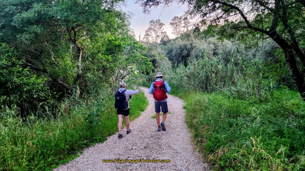 Lane that Follows the Nabão River