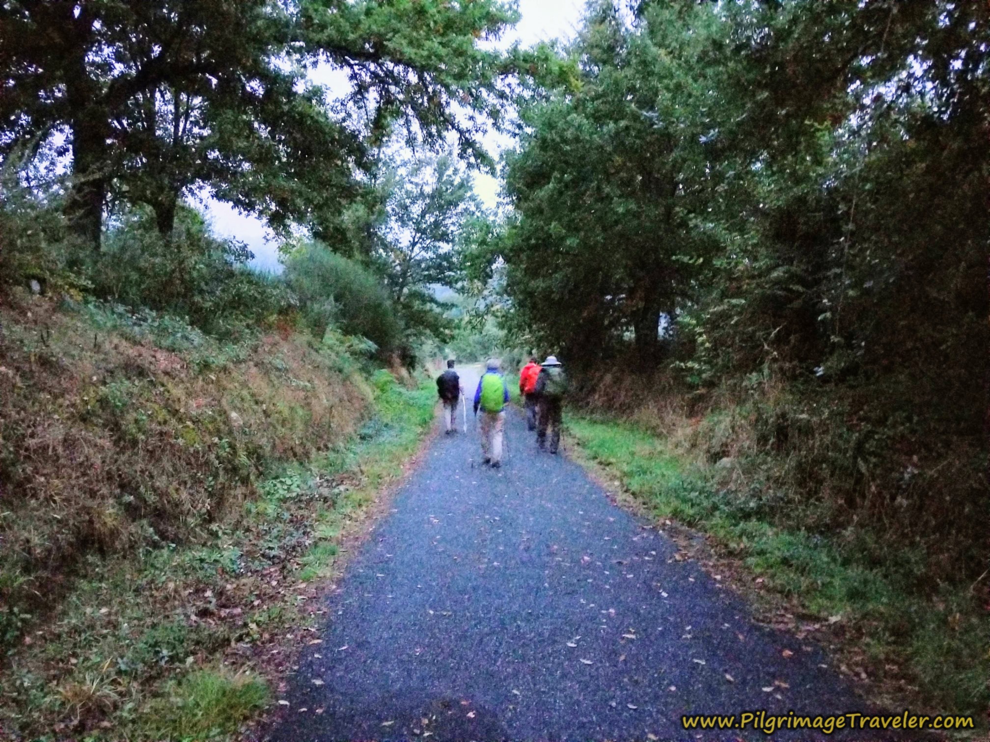 Lane Toward the Soccer Field