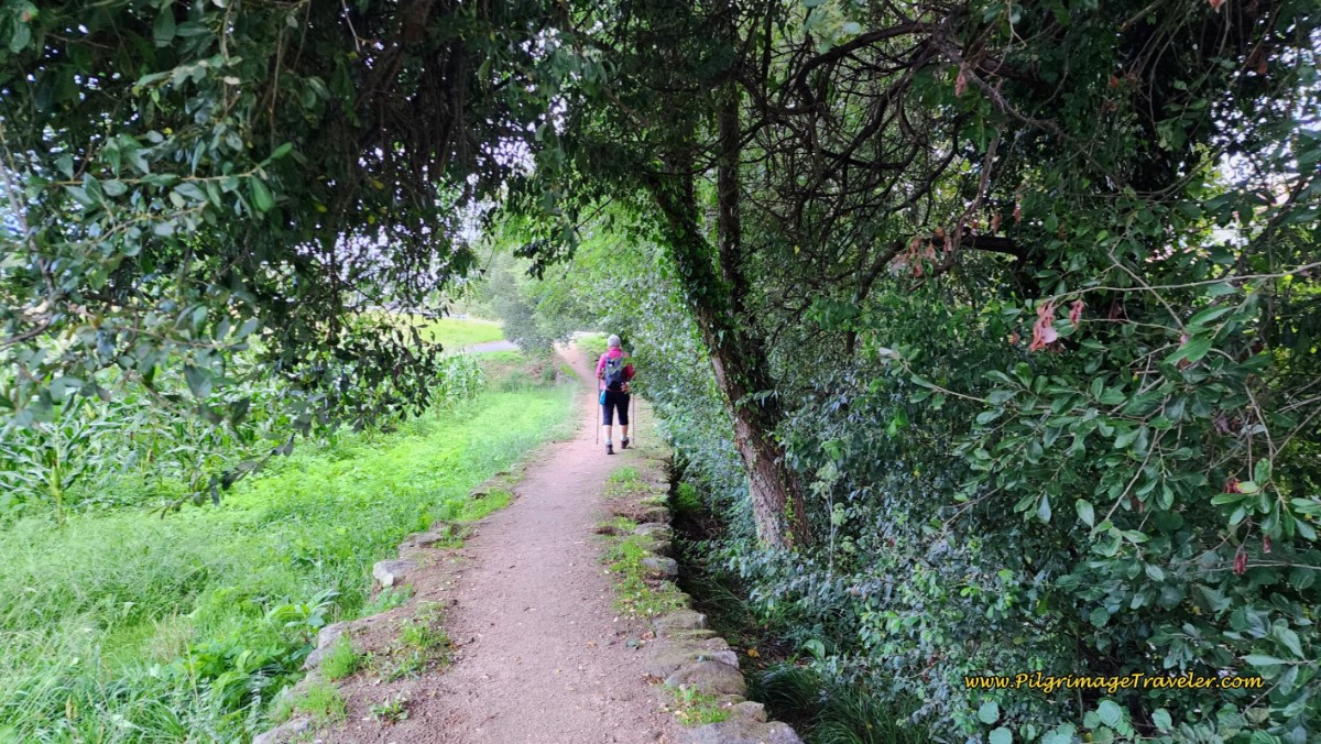Serene, Quiet Riverwalk