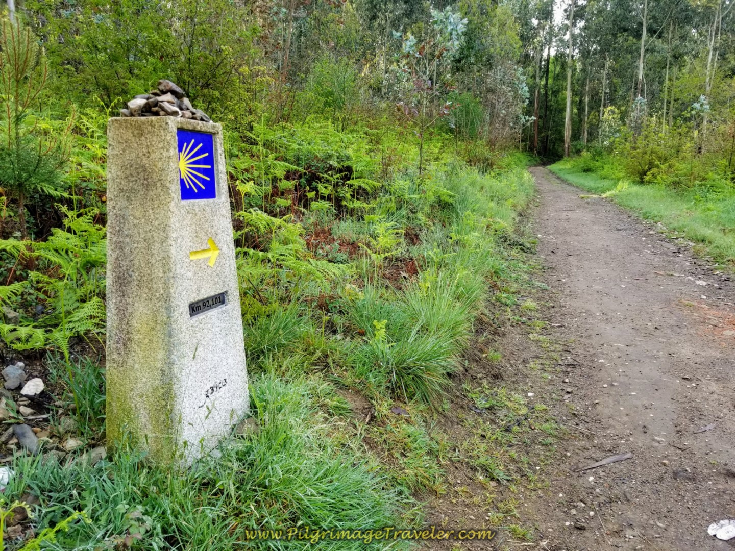 92 Kilometer Waymark Entering the Forest on day two of the Camino Inglés