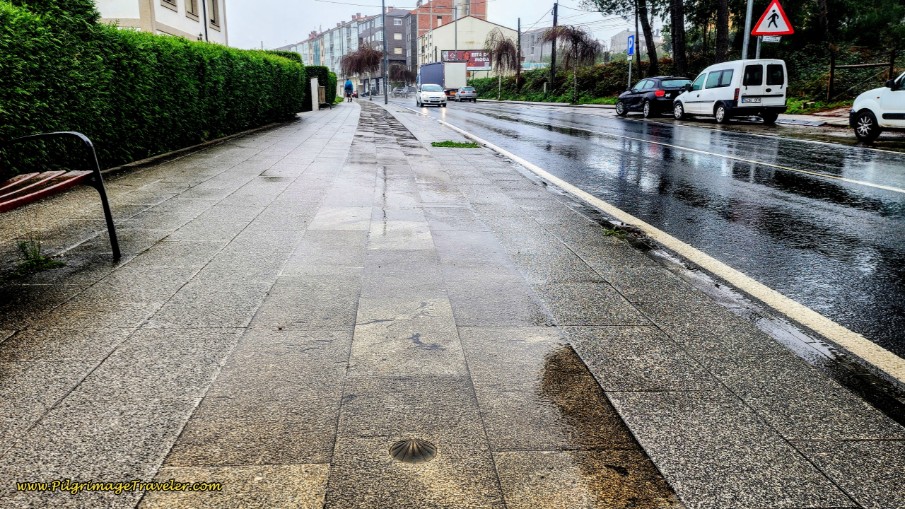 Shells Start When the Sidewalks Start in Arzúa