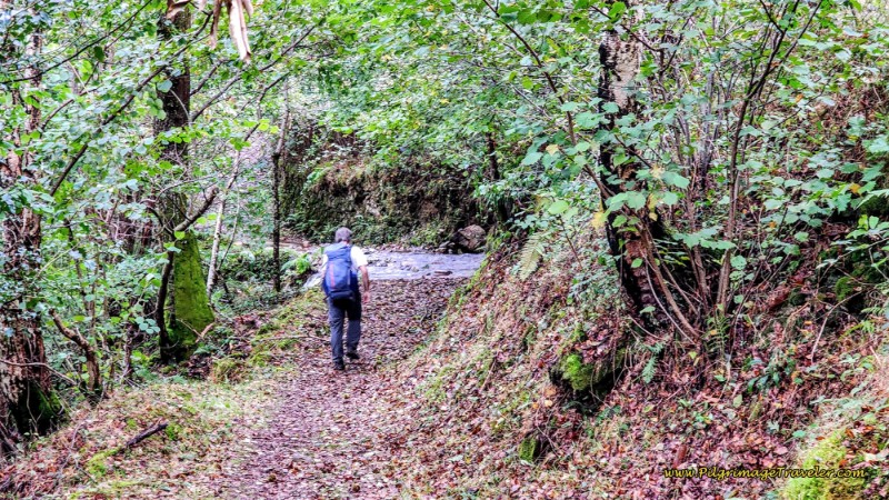 Pilgrim Crosses Tributary on Rocks
