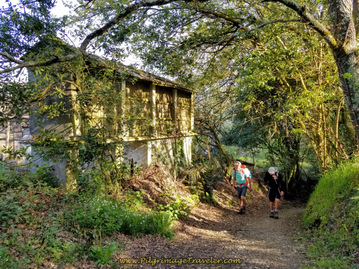 Rich and Rob Walking by Horreo in O Outeiro on day seven of the Camino Inglés