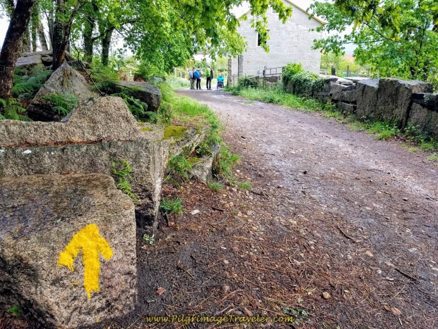 Team Magdalena ahead on day twenty on the central route of the Portuguese Camino
