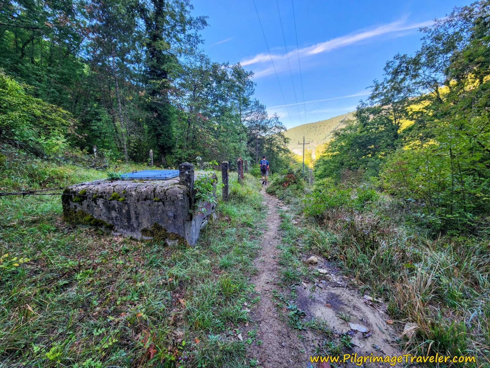 Cross Power Line at This Well